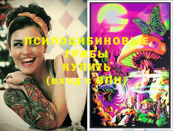 индика Алексеевка