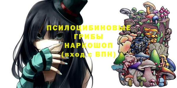 индика Алексеевка