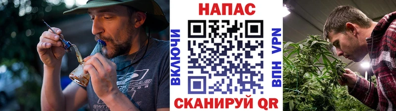 МАРИХУАНА ГИДРОПОН закладка Боготол